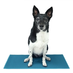 FitPaws K9 Fitmat Träningsmatta 60 x 30 Cm